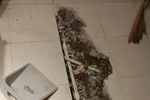 惠来卫生间漏水检测电话
